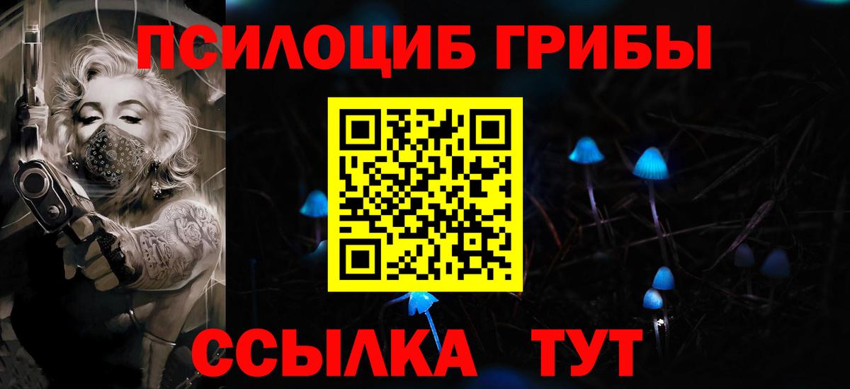 Псилоцибиновые грибы Psilocybe Сердобск
